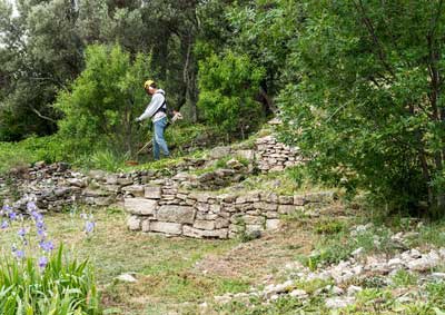 Débroussaillage à Rochefort du Gard